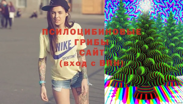 таблы Алзамай