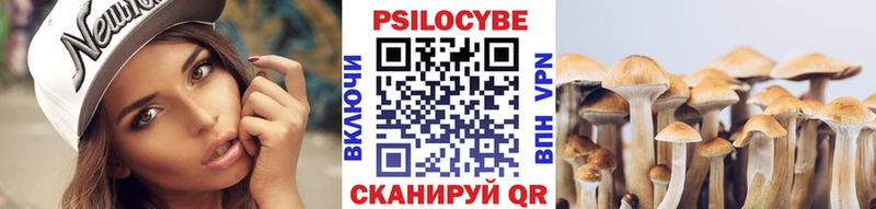 Псилоцибиновые грибы Psilocybine cubensis  Слюдянка 
